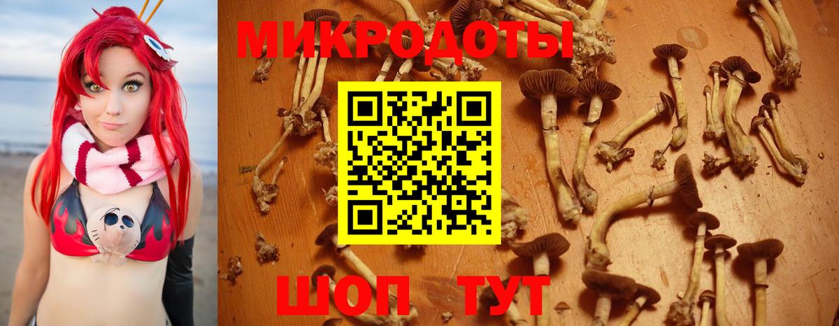 Псилоцибиновые грибы MAGIC MUSHROOMS  Вход с VPN  купить  сайты  Луга 